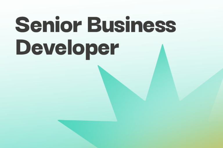 Senior-Business-Developer