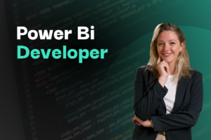 1-Power-BI-Developer