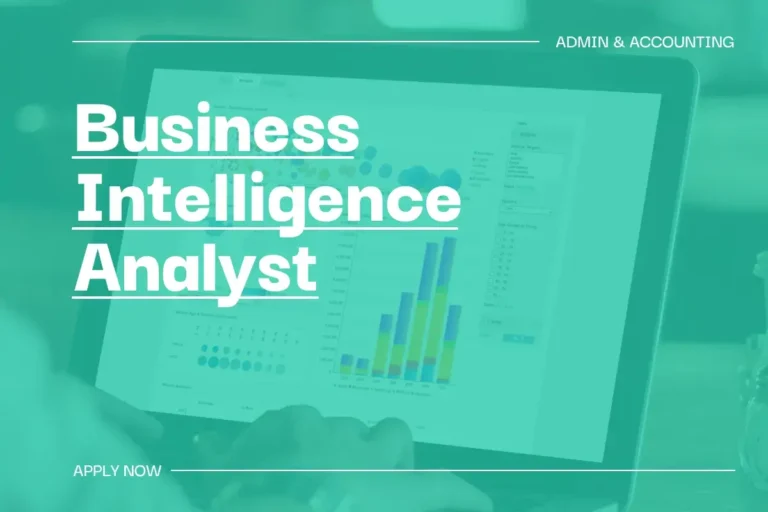 Business Intelligence Analyst 1